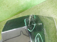 DSCN5309.jpg