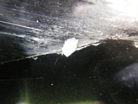 DSCN3453.jpg