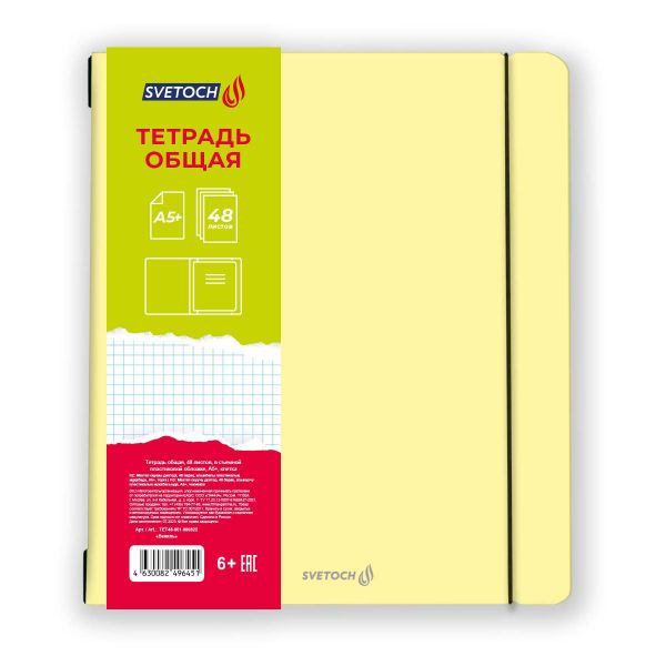 Тетрадь общая в съёмной пластик. обложке на резинке, тиснение фольгой, 500 мкр, A5+ 48 л. папка 65 г/м², белизна 100%, 4 шт, клетка, 000822 Ваниль, Светоч ТЕТ48-001