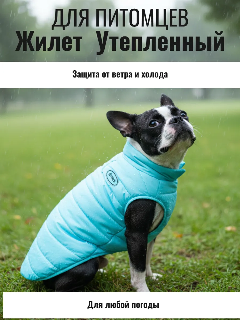 Жилет для собак