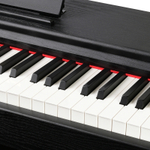 Emily Piano D-51