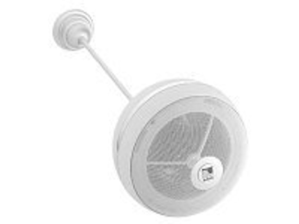 Direct Power Technology WL-150W Акустическая система двухполосная 5'+1.5', 30W, 70V/100V, металлический крепеж, цвет белый
