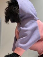 Толстовка для собак с капюшоном, 32 см. (одежда для собак мелких, средних и крупных пород)