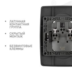 Розетка ЭРА Серия 12 12-2107-12 двойная без заземления 2X2P16A-250В IP20 графит | Эра 12