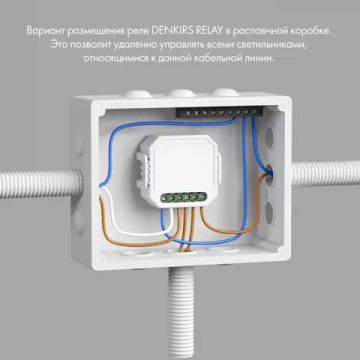 Двухканальное Wi-Fi реле-диммер RL1004-DM/1 белый Denkirs