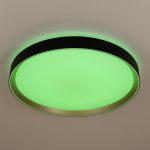 Потолочный светодиодный светильник Citilux Boss CL751451G LED RGB
