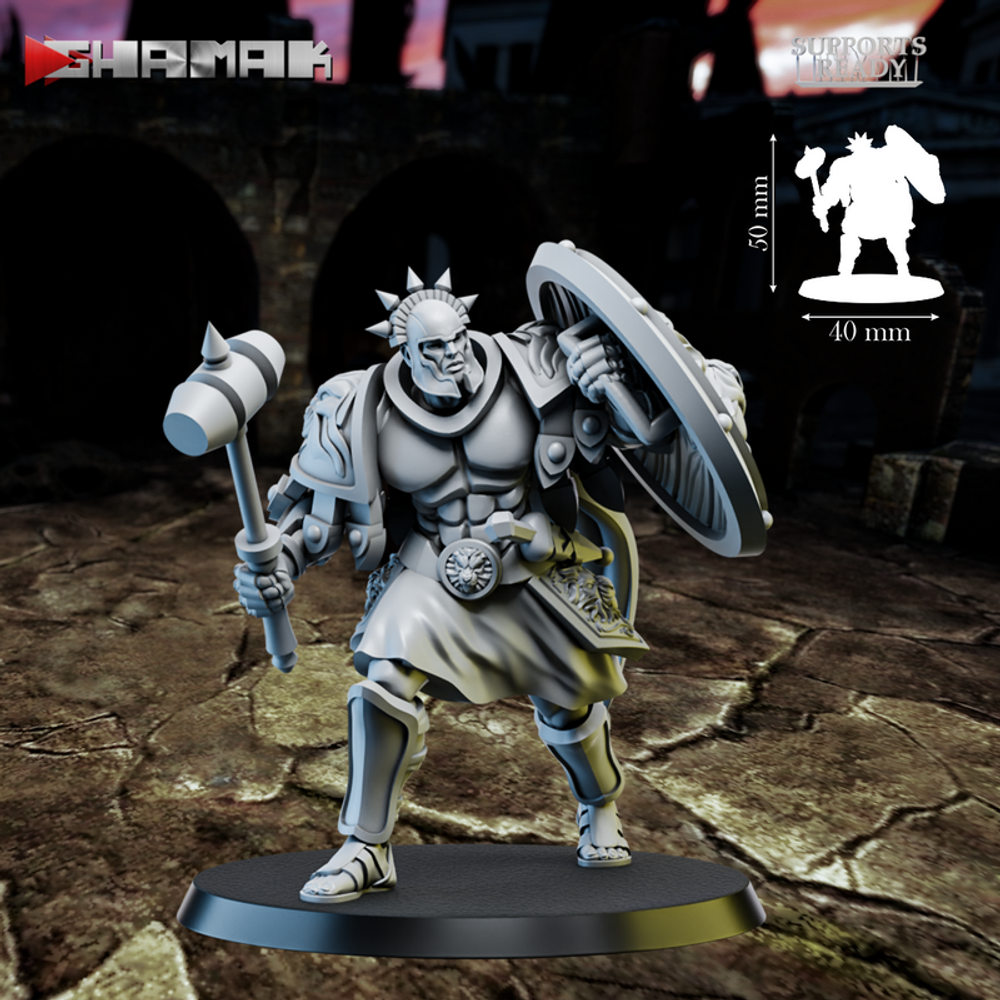 Grand Alliance Order Stormcast Eternal Sequitors Воитель с молотом и щитом №7 миниатюра для dnd, днд, pathfinder, фентези, Настольная игра, НРИ, Варгейм, РПГ