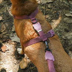 Шлейка HIBISCUS NATURALS Zee.Dog