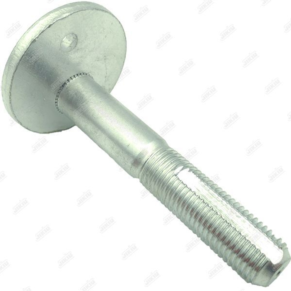 Болт с эксцентриком L206-28-66Z BB25003