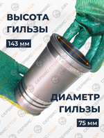 ком_порш_гр_R175 (3)