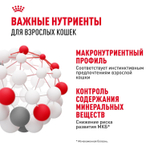 Royal Canin Instinctive Инстинктив Корм влажный для взрослых кошек в возрасте от 1 года до 7 лет соус 85г