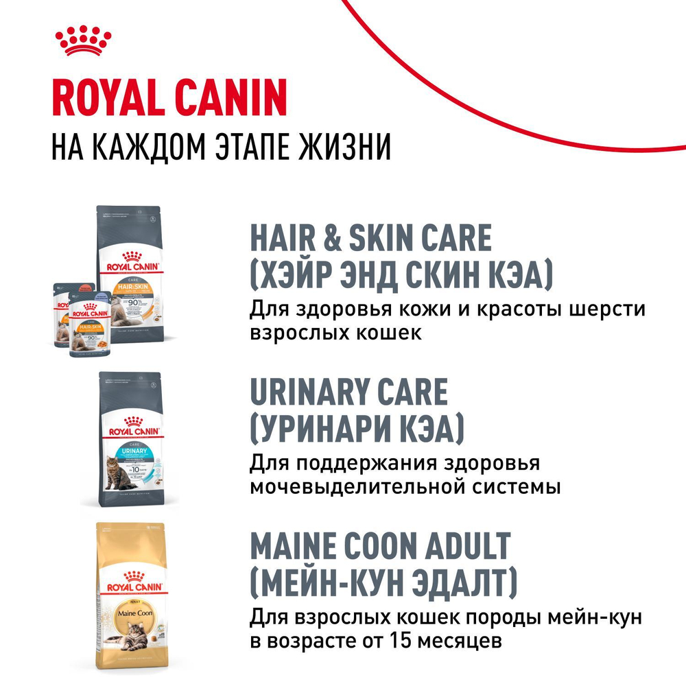 Royal Canin Maine Coon Kitten Киттен Мейн Кун Корм сухой для котят породы Мэйн Кун в возрасте от 4 до 15 месяцев 400г