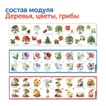 Природные богатства России с РобоМышью (2 робомыши, с системой хранения) Learning Resources MS0103