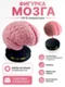 Фигурка мозг на подставке, 3D-печать, декоративный сувенир