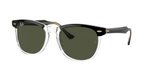 RAY-BAN EAGLE EYE RB2398 129431