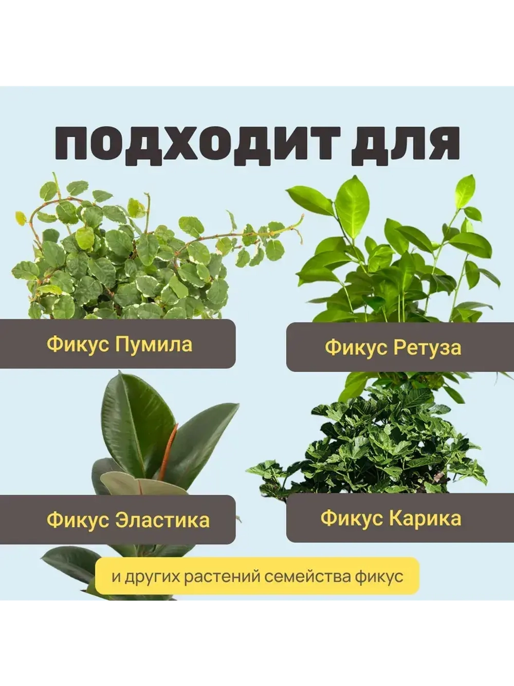 Органический грунт для фикуса 4 л