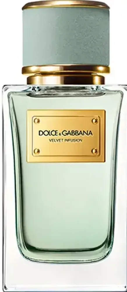 Dolce & Gabbana Velvet Infusion EDP 100 ml Dolce & Gabbana Velvet Infusion EDP 100 ml