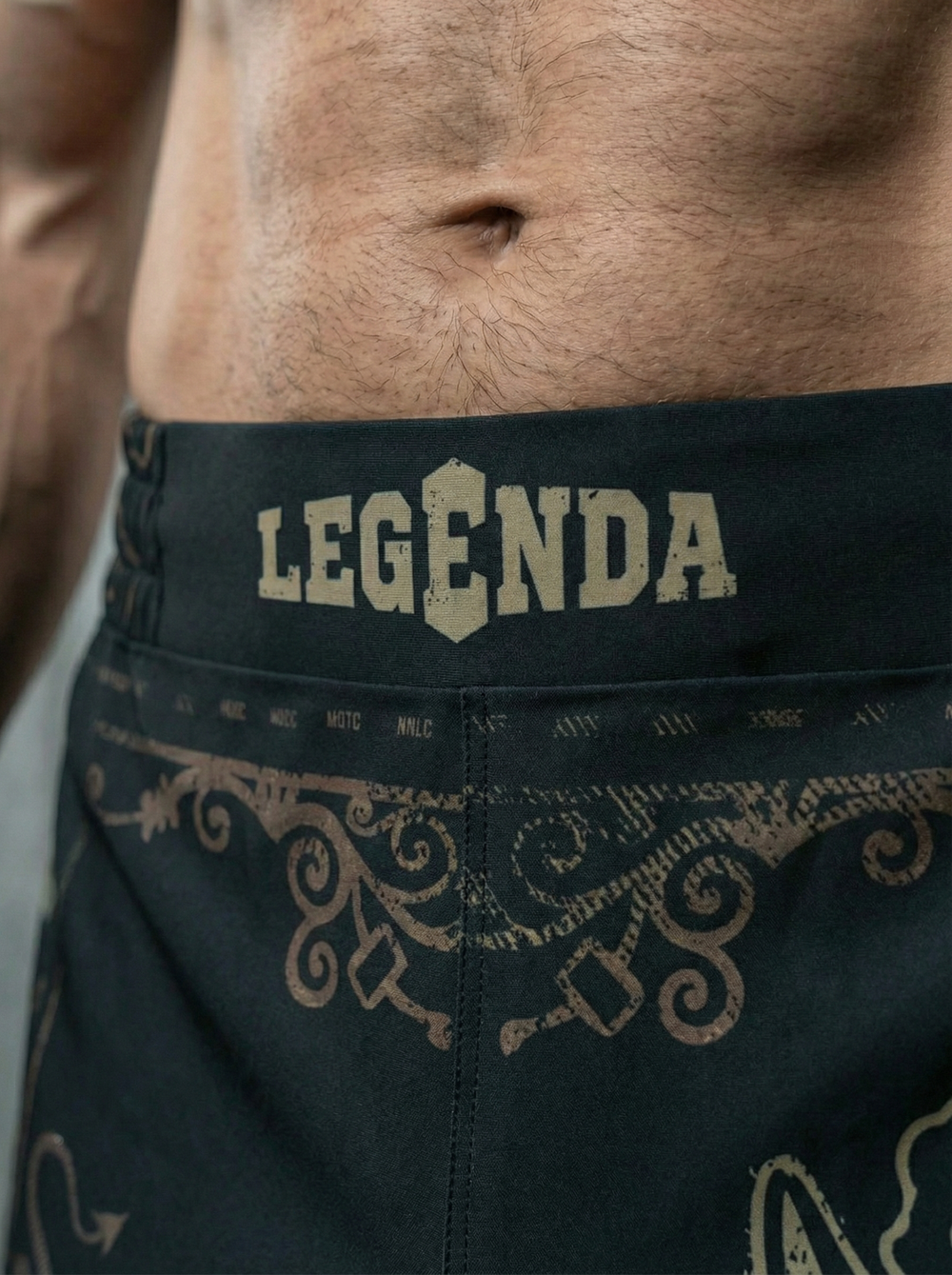 Шорты спортивные тренировочные LEGENDA Горыныч