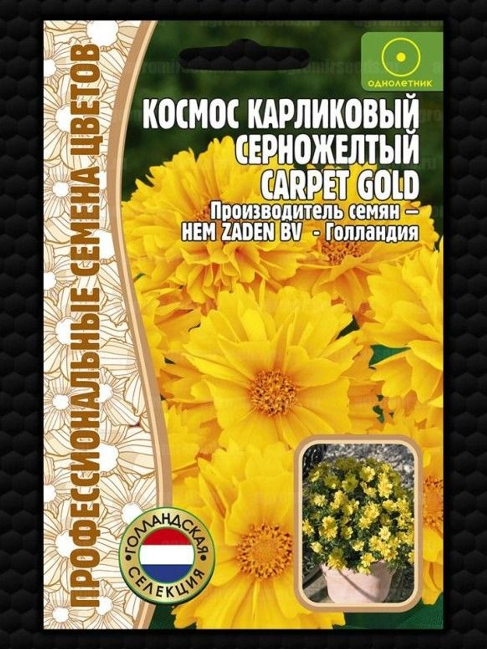 Космос Carpet Gold карликовый серножелтый однолетник 5шт (Ред.сем)
