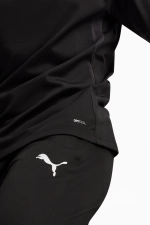 Штаны Puma teamGoal Training - черный