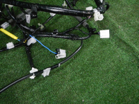 DSCN8092.JPG
