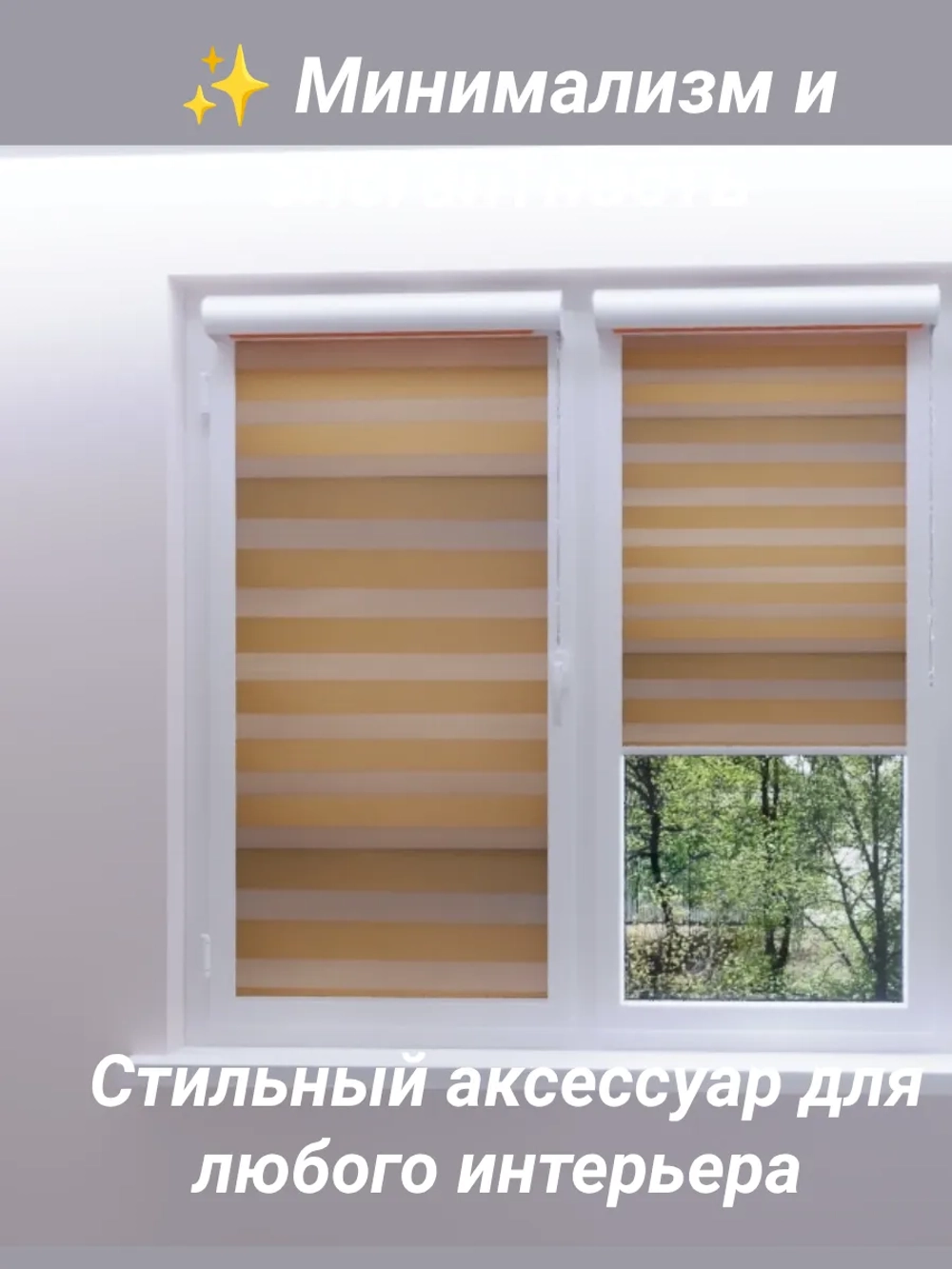 Рулонные шторы День-Ночь Зебра 60х150 см