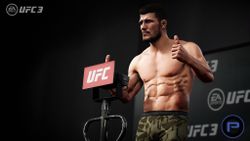 UFC 3 Издание Deluxe