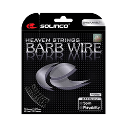 Barb Wire / 12.2м / 1,25мм