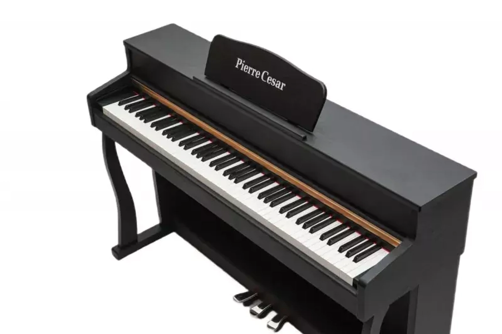 Pierre Cesar DP-500-H
