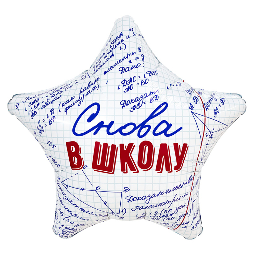Звезда, Снова в школу
