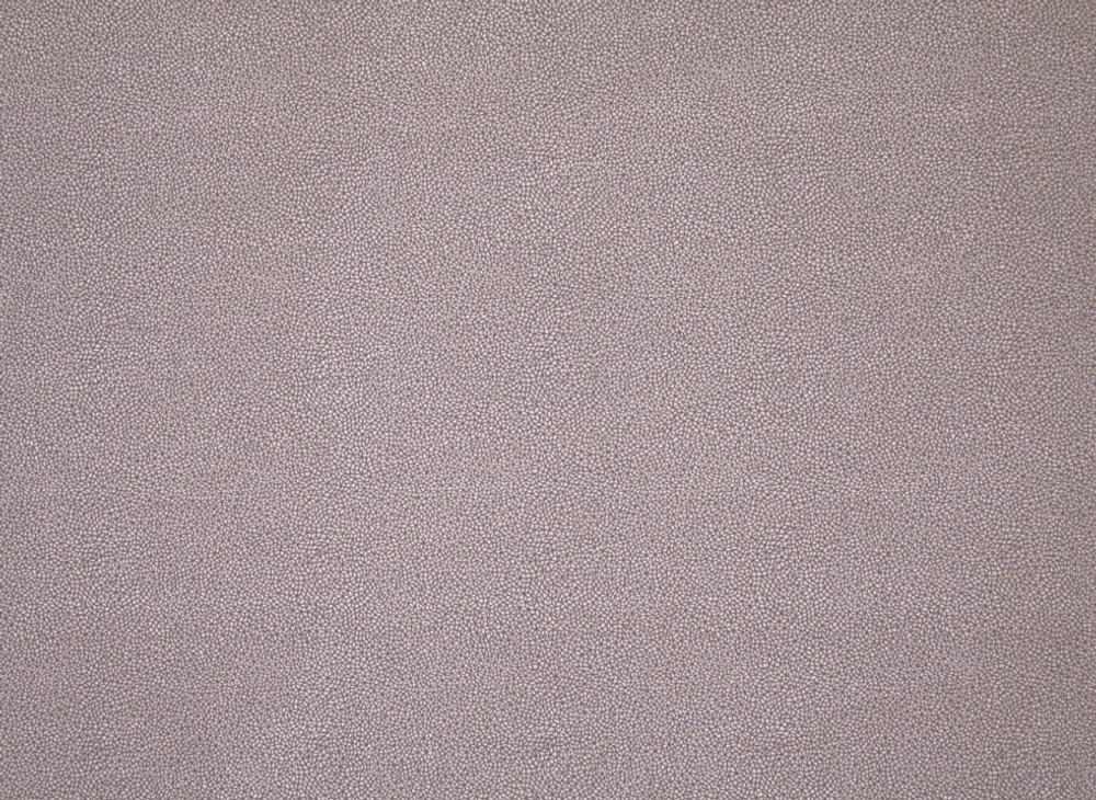 Микровелюр Elari (Элари) 2