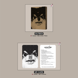Альбом V (BTS) Layover (weverse albums ver.)