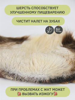 Подбородок говяжий — лакомство для собак, 1 шт