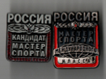 Комплект из 2 нагрудных знаков. Мастер спорта международного Класса России и Кандидат мастера спорта России