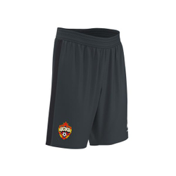 Шорты вратарские CSKA GK Short IA 25/26 — AKI