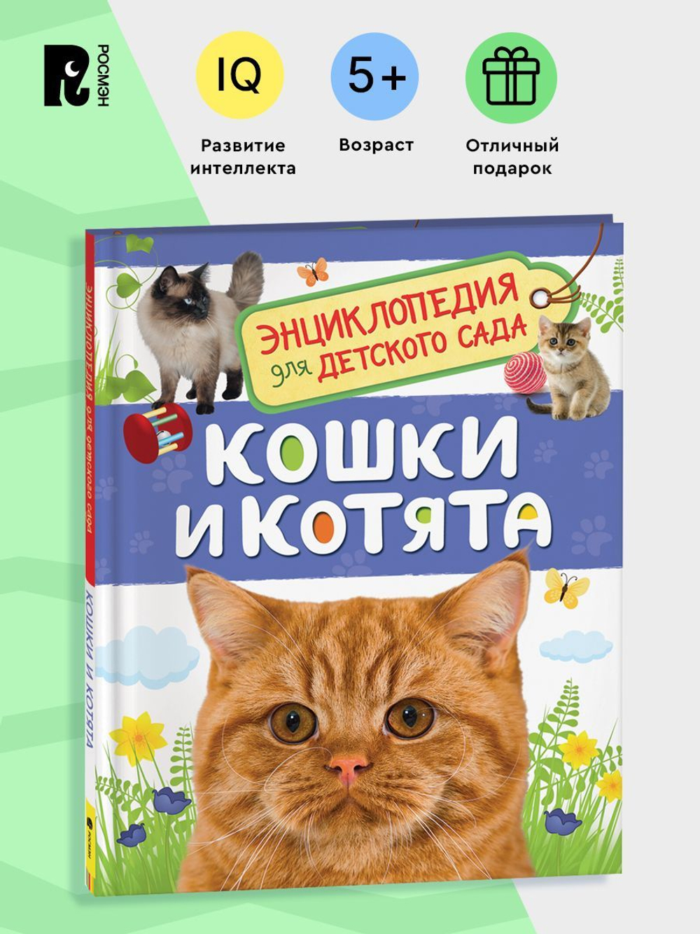 Кошки и котята (Энциклопедия для детского сада)