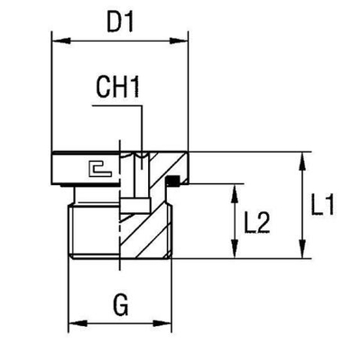 Заглушка VE (Ш) BSP 1/4