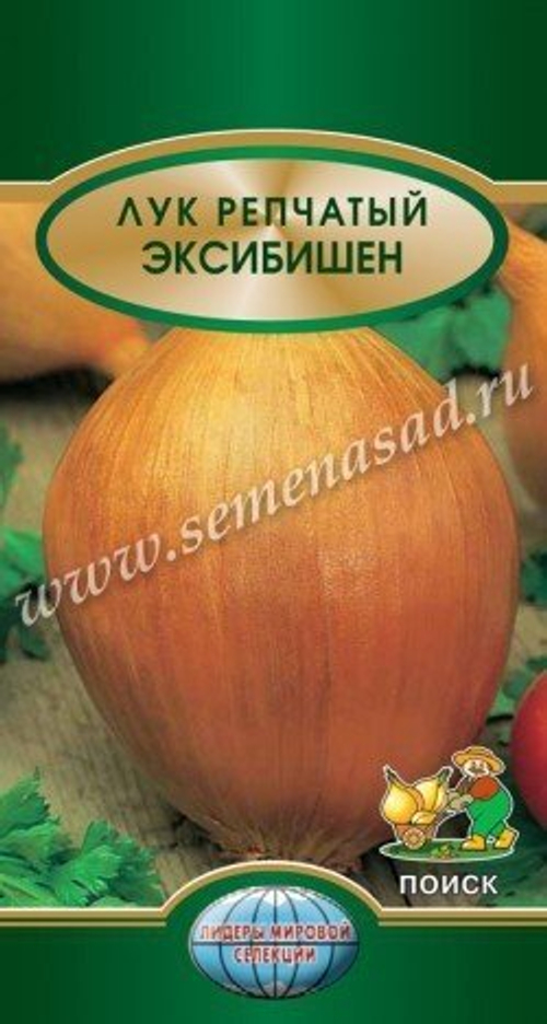 Лук Эксибишен