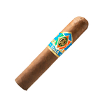 CAO Italia Novella