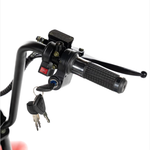 ЭЛЕКТРОСКУТЕР CITYCOCO GT X5 TRIKE 1500W 15AH 48V Красный