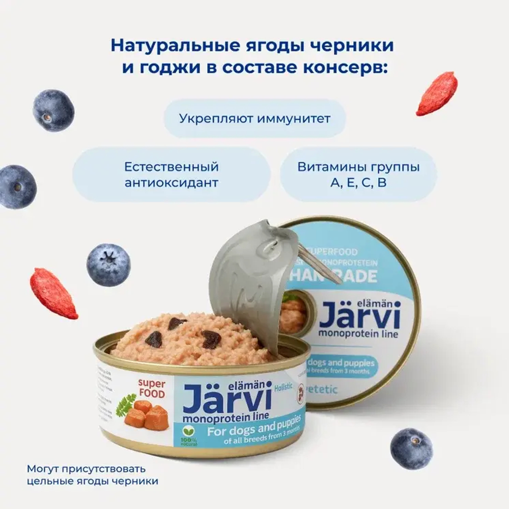 Jarvi монопротеиновые полнорационные консервы для собак и щенков всех пород с 3-х месяцев, Лосось, 100г.