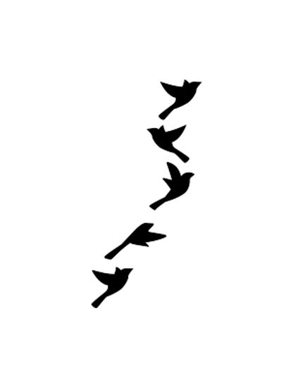 birds