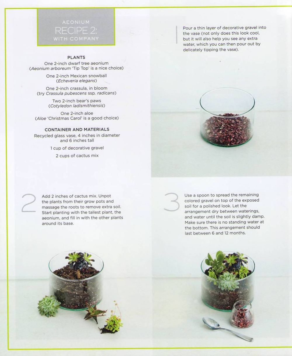 The Plant Recipe Book: 100 Living Arrangements for Any Home in Any Season