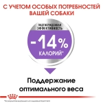Сухой корм для стерилизованных собак мелких пород Royal Canin Mini Sterilised, 3кг