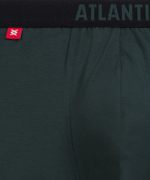 Мужские трусы шорты Atlantic, набор из 3 шт., хлопок, черные + изумрудные + каберне, 3MH-011
