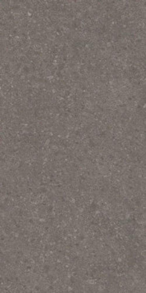 Керамогранит Чеппо ди Гре коричневый матовый обрезной (DD591700R) Керамогранит Чеппо ди Гре коричневый матовый обрезной (DD591700R)