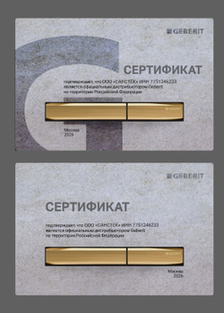Унитаз подвесной Geberit Selnova 500.261.01.1