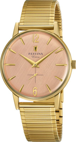 Мужские наручные часы Festina F20251/3