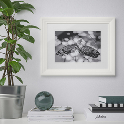 IKEA EDSBRUK  (ИКЕА ЕДСБРУК)  -  Рамка - белая 30x40 см
