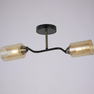 IL8148-2COU-79 BK BR Bice светильник потолочный ILLUMICO, E27х2